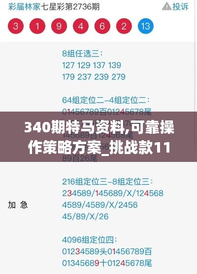 340期特马资料,可靠操作策略方案_挑战款11.385