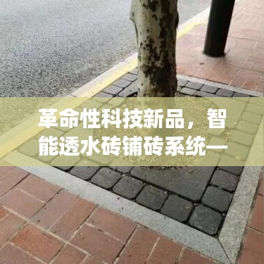 智能透水砖铺砖系统，科技重塑铺砖艺术革命之旅