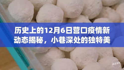 历史上的12月6日营口疫情新动态揭秘，小巷深处的独特美食宝藏