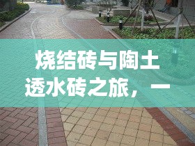 走马章台 第3页