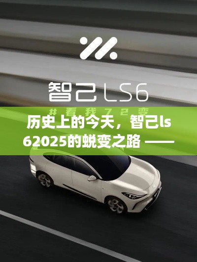 智己LS62025的蜕变之路，把握机遇，学习成就自信与梦想之路