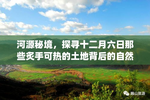 龙飞凤舞 第2页