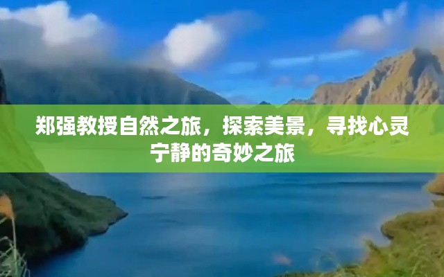 郑强教授的自然探索，美景之旅与心灵宁静的奇妙征途