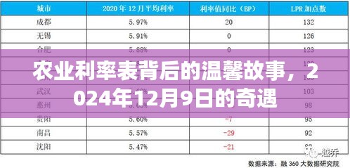 贵冠履轻头足 第3页