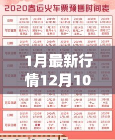 揭秘最新行情，透水砖价格大解密，助力工程预算决策！