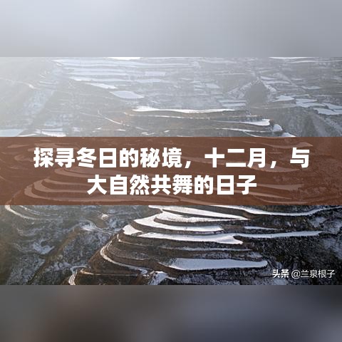 探寻冬日的秘境，十二月与大自然的共舞之旅
