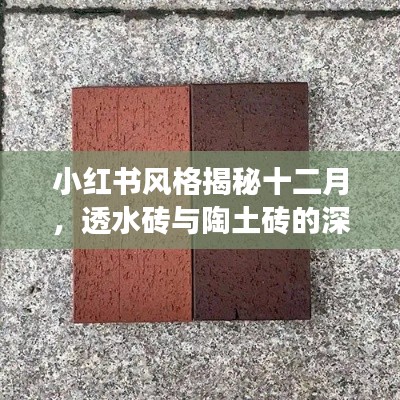 炊粱跨卫 第3页