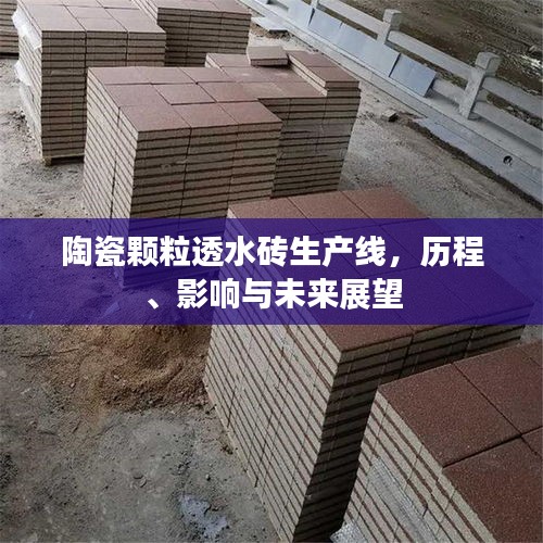 文贵天成 第3页