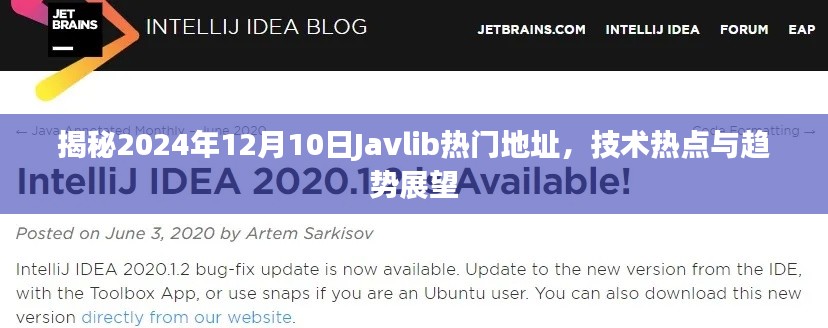 揭秘Javlib热门地址，技术热点与趋势展望（2024年12月10日）