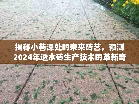 无独有偶 第3页