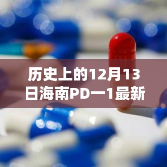 揭秘海南PD一1最新消息，历史性的12月13日进展揭秘