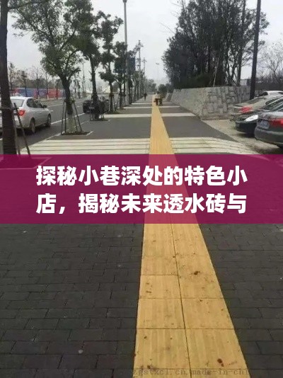 探秘小巷特色小店，水泥砖与透水砖的未来差异之旅