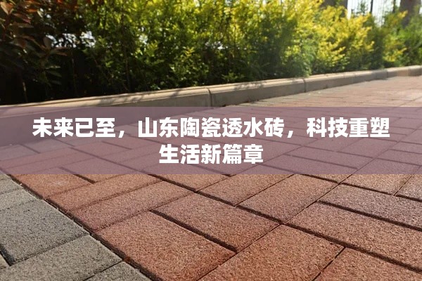 山东陶瓷透水砖，科技引领未来，重塑生活新篇章