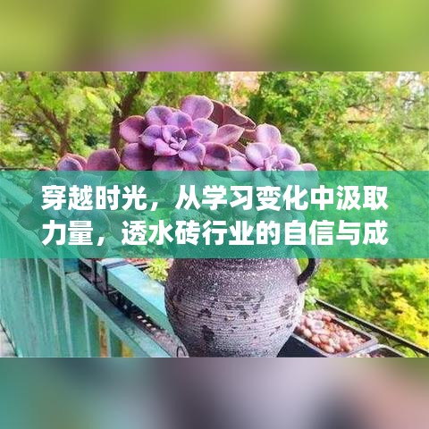 天南地北 第2页