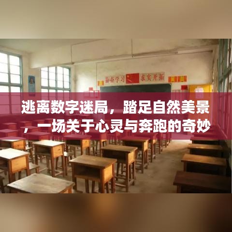 产品中心 第302页
