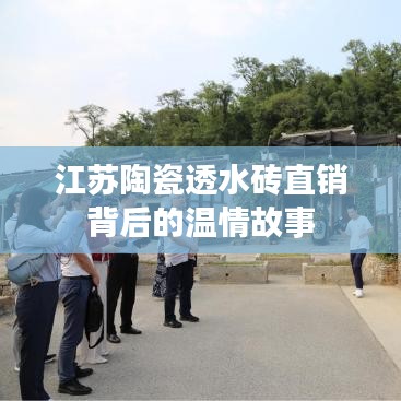 物是人非 第3页