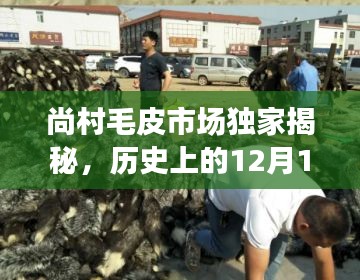 凤凰于飞 第2页