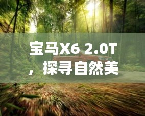 全神贯注 第2页