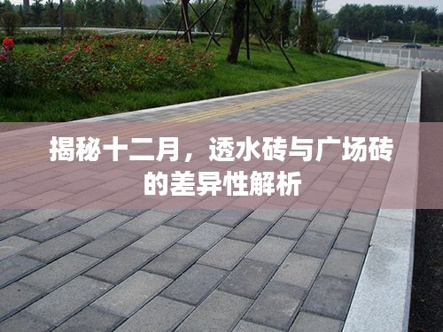 空谷幽兰 第3页