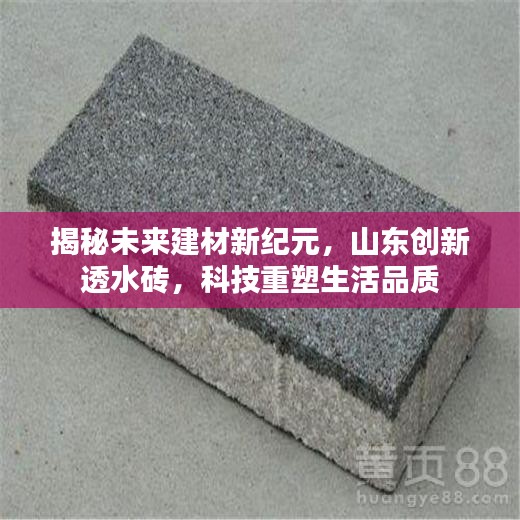 山东创新透水砖揭秘，科技引领建材新纪元，重塑生活品质