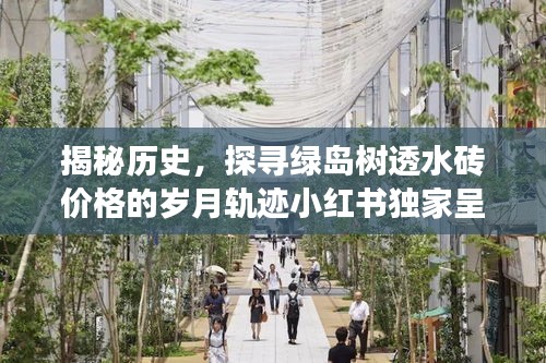 揭秘绿岛树透水砖价格变迁，岁月轨迹与小红书独家呈现的记忆回顾