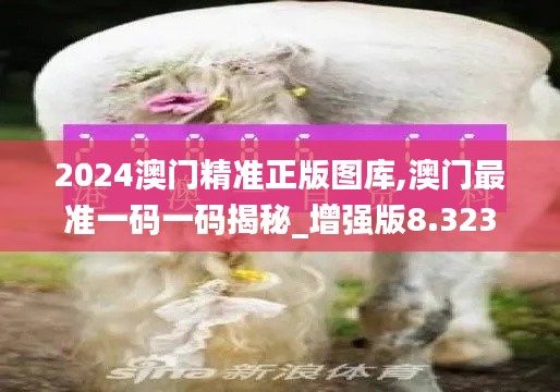 2024澳门精准正版图库,澳门最准一码一码揭秘_增强版8.323