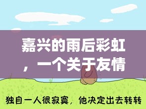 嘉兴雨后彩虹，友情与陪伴的温馨篇章