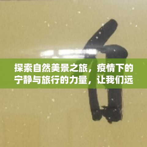 疫情下的自然探索之旅，寻找心灵的宁静与力量，远离尘嚣的平和之旅