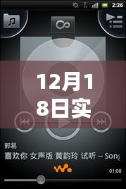 12月18日实时录音音频显示软件全面解析与介绍