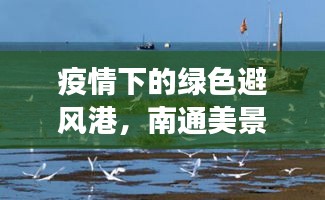 疫情下的绿色避风港，南通美景之旅，探寻内心宁静之旅