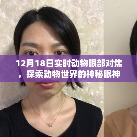 熟读深思 第2页