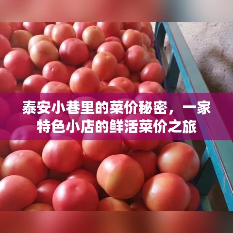 泰安小巷特色小店，揭秘菜价背后的秘密之旅