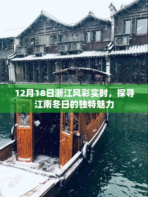 江南冬日独特魅力探寻，浙江风彩实时报道 12月18日
