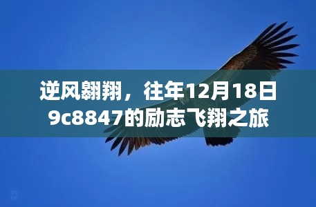 逆风翱翔，励志飞翔之旅的启示——记往年12月1 8日飞行体验