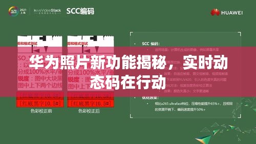 华为照片新功能揭秘，实时动态码实时更新功能亮相