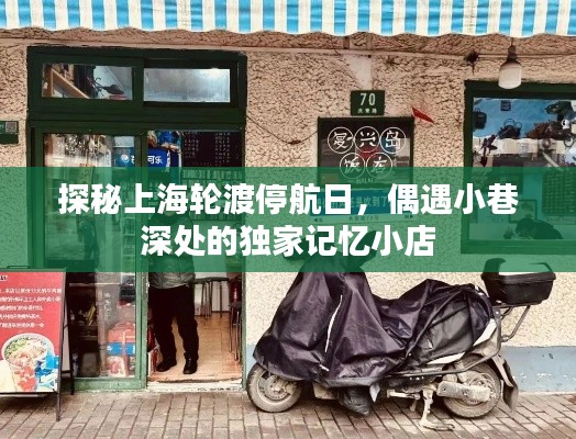无影无踪 第2页
