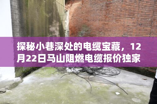 死得其所 第2页