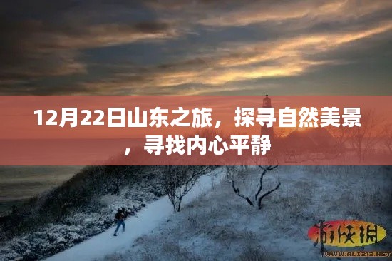 产品中心 第217页