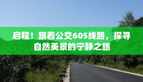 林下风气 第2页
