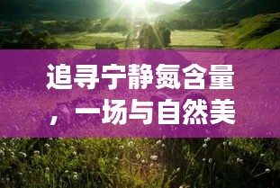 富贵骄人 第2页