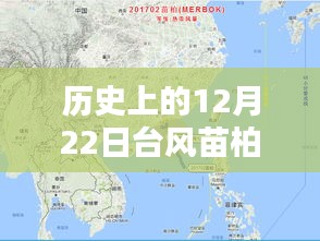 天潢贵胄 第2页
