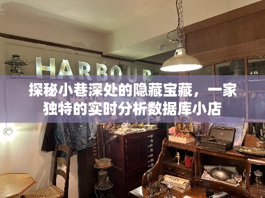 探秘小巷深处的隐藏宝藏，实时分析数据库独特小店揭秘