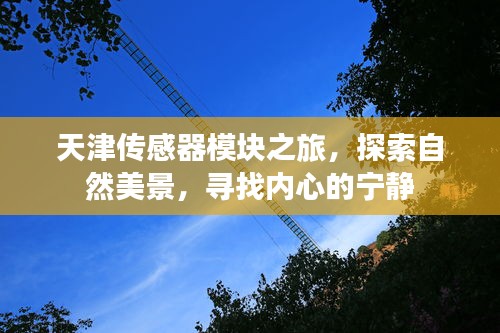 张灯挂彩 第2页