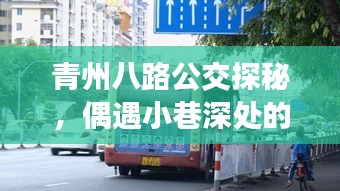 举止娴雅 第2页