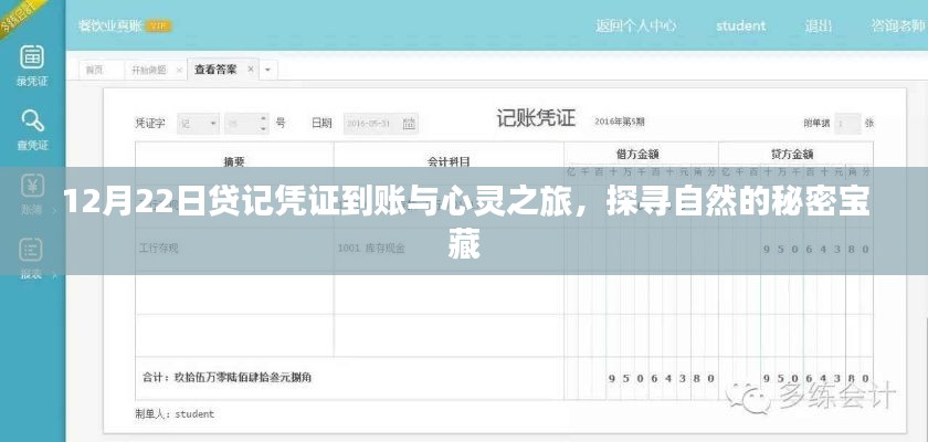 雍容典雅 第2页