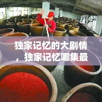 独家记忆的大剧情，独家记忆哪集最甜 