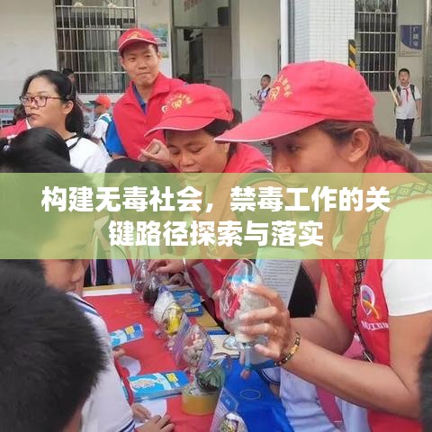 构建无毒社会，禁毒工作的关键路径探索与落实