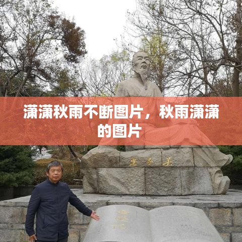 不期而遇 第2页