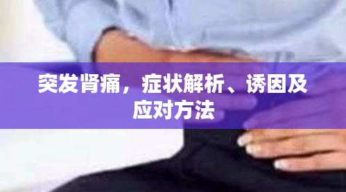 突发肾痛，症状解析、诱因及应对方法