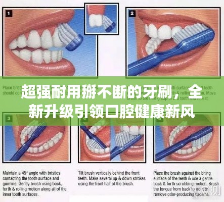 斗志昂扬 第2页